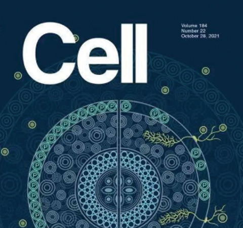 祝賀王二濤老師團(tuán)隊又一佳作榮登Cell期刊！