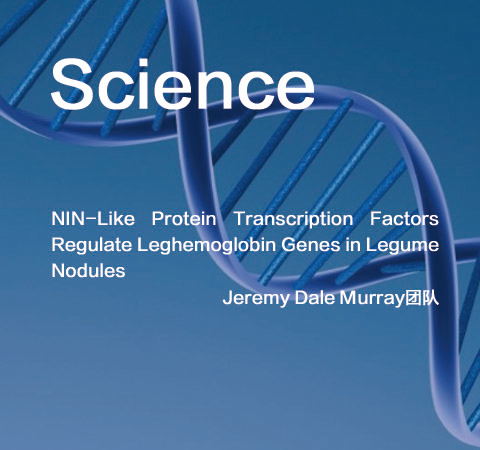 祝賀Jeremy Dale Murray團(tuán)隊(duì)佳作榮登Science期刊！