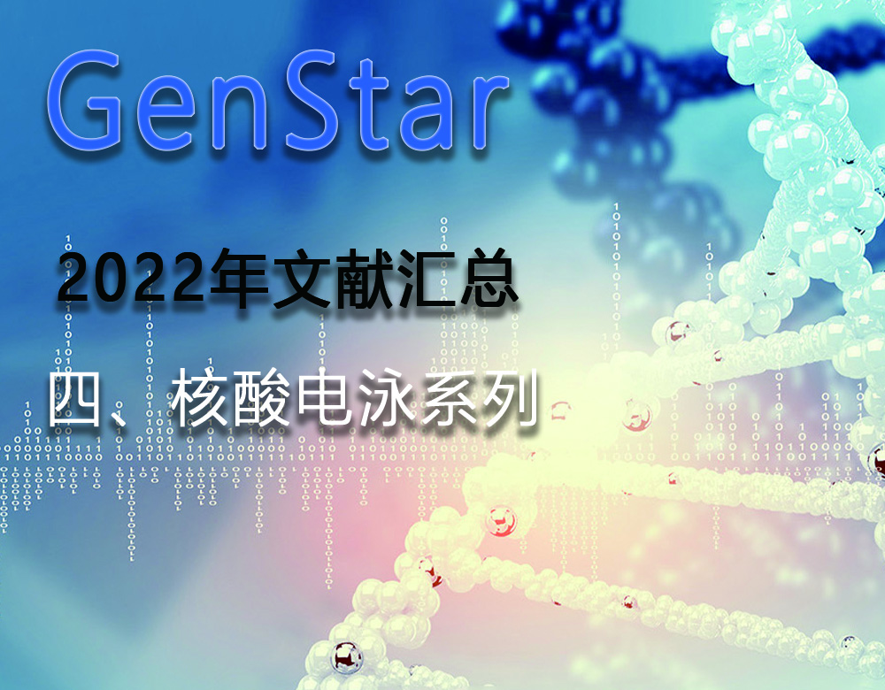 GenStar 2022年文獻(xiàn)匯總（四、核酸電泳系列）
